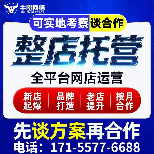 呼和浩特电商代运营