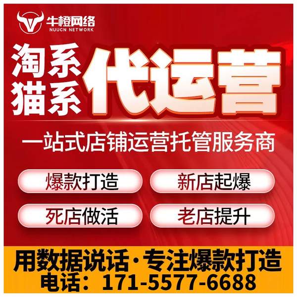 呼和浩特电商代运营
